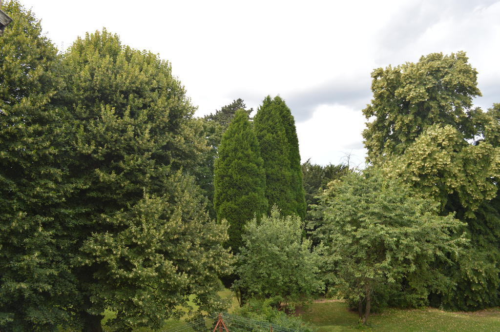 B&B Chatelet Cremers Verviers Cameră foto